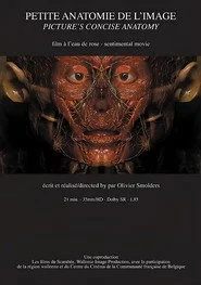 Petite anatomie de l'image
