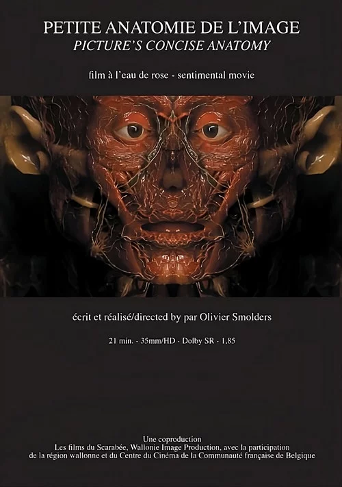 Petite anatomie de l'image
