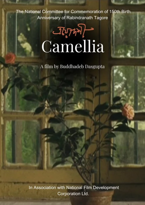 Camellia