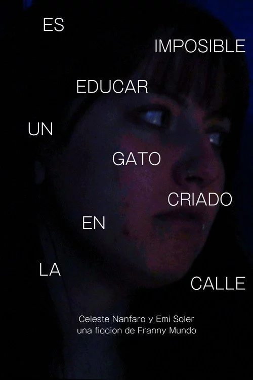 Es Imposible Educar Un Gato Criado en la Calle