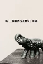 Os Elefantes Sabem Seu Nome
