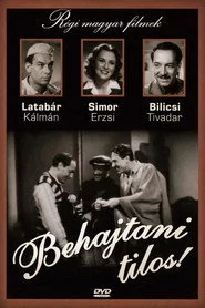 Behajtani tilos