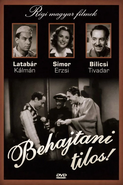 Behajtani tilos