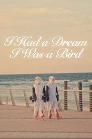 I Had a Dream I Was a Bird