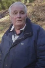 Les Davies
