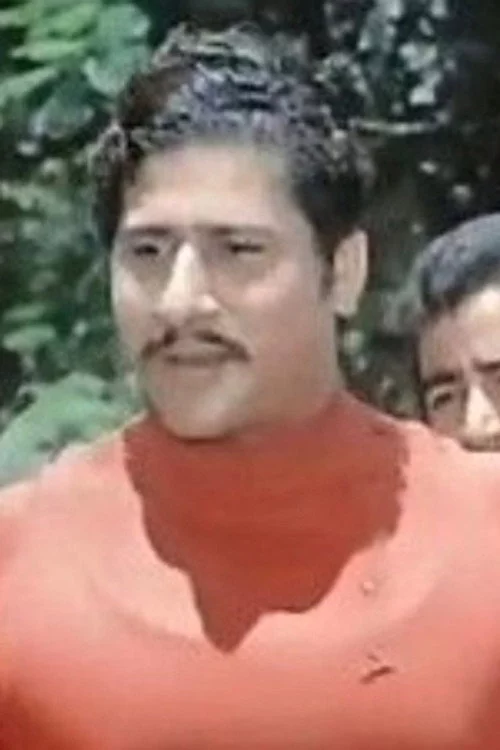 Bahaa Abdulhameed