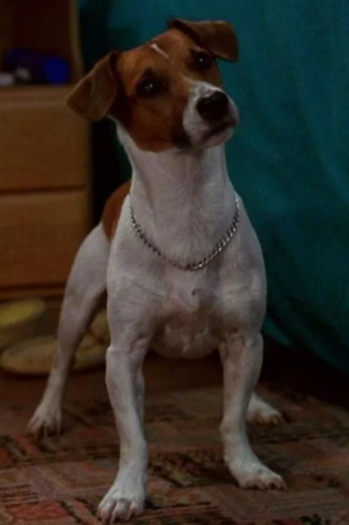 Max