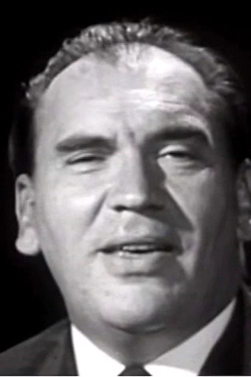 Romhányi József