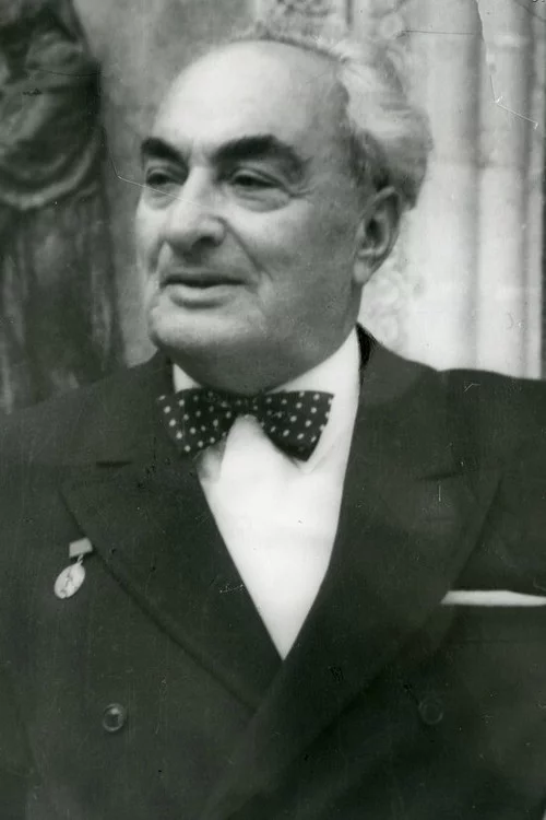 ვასო გოძიაშვილი