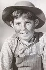Stephen Wootton